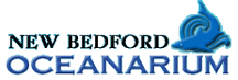 New Bedford Oceanarium Logo