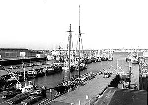 Dockside New Bedford